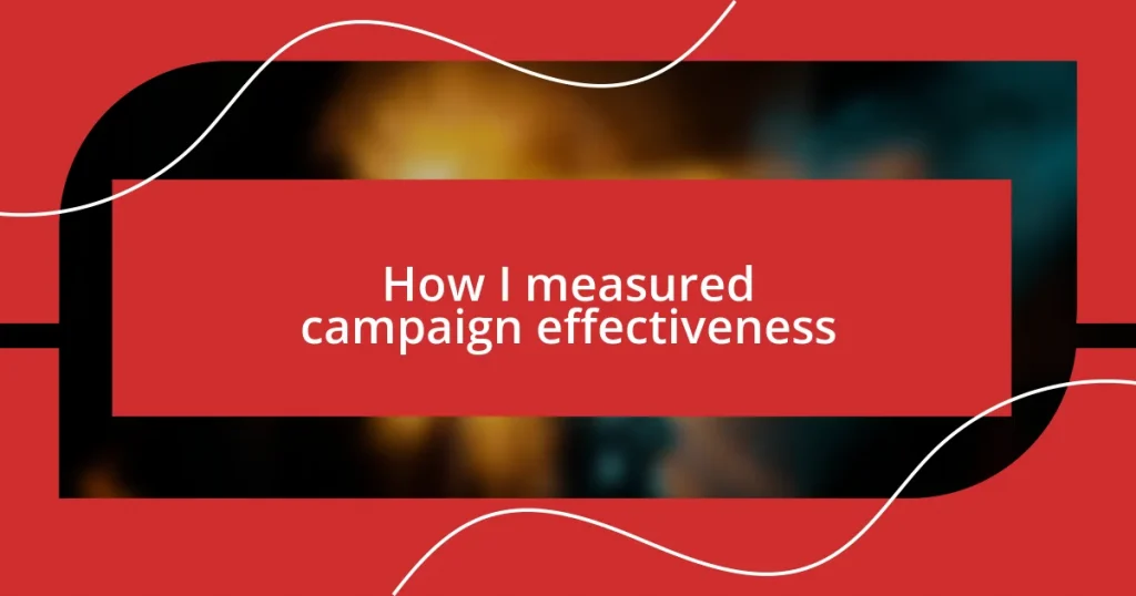 How I measured campaign effectiveness